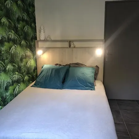 Oree Des Pins Avec Terrasse